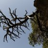 20101009_185